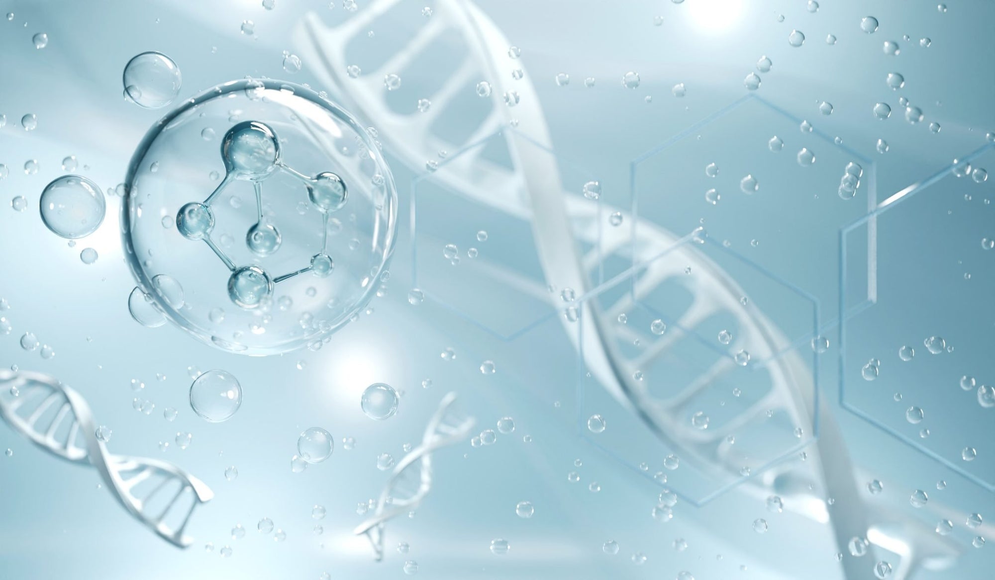 The Science Behind the Ingredients